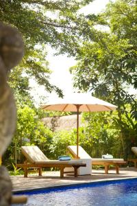 Bazén v ubytování Desa Evergreen Bali nebo v jeho okolí + 19 fotografií
