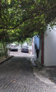 een geplaveid steegje met twee auto's geparkeerd naast een gebouw bij two story house in center of the tbilisi in Tbilisi City +8 foto's