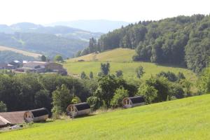 a green hillside with a group of buildings and trees at Impuls Hof - Unterhegerberg in Stössing