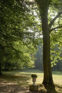 Zahrada ubytování Le Chalet Montégut