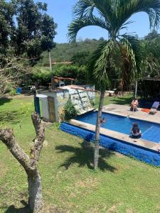 Πισίνα στο ή κοντά στο Ibiza Eco Aventura +54 φωτογραφίες