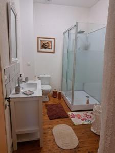 a bathroom with a shower and a sink and a toilet at Gite chez Elisa in Le Fousseret