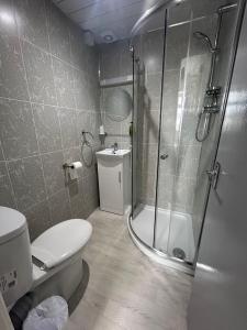 a bathroom with a shower and a toilet and a sink at Sandford Promenade in Blackpool