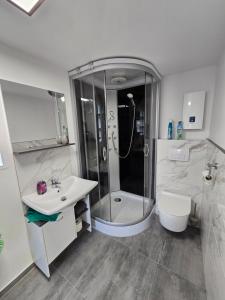 a bathroom with a shower and a sink and a toilet at Appartement Kristina in Biblis