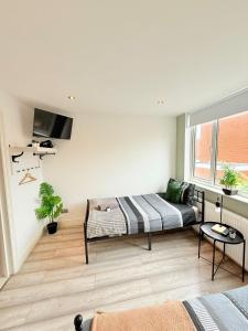 a living room with a couch and a tv at 15 min to Central London Guest Suites 22 in London
