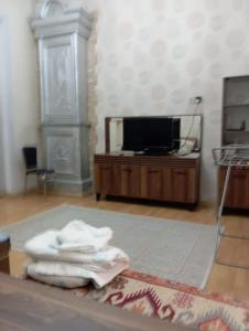 TV a/nebo společenská místnost v ubytování Khan Apartment