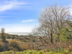 a tree in a field with the ocean in the background at Holiday Home Bondi - 150m from the sea by Interhome in Åkirkeby
