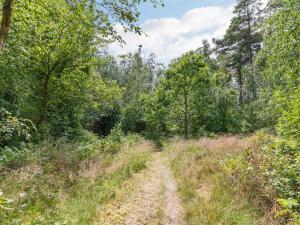 un chemin de terre à travers une forêt arborée dans l'établissement Holiday Home Anarosa - 200m from the sea by Interhome, à Vester Sømarken