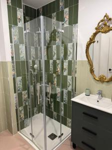 a bathroom with a shower with a sink and a mirror at Apartamento Centro Victor o Victoria in Úbeda +14 photos
