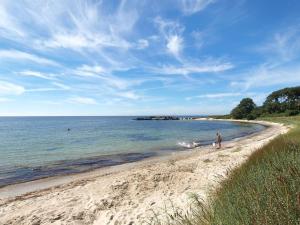 una persona e due cani che passeggiano sulla spiaggia di Apartment Benna - 120m from the sea by Interhome a Vester Sømarken