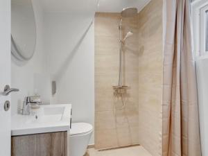 une salle de bains avec douche, toilettes et lavabo dans l'établissement Holiday Home Margarethe - 250m from the sea by Interhome, à Vester Sømarken