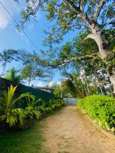 Gallery image of Diamond Villa Madiha in Matara +63 photos