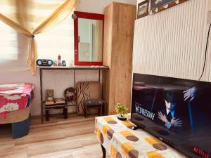 a living room with a flat screen tv on a table at Private Guest Room with Garden Access in Skopje