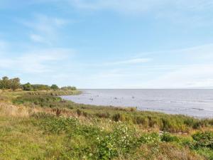 a group of birds in the water on a beach at Holiday Home Julietta - 50m from the sea by Interhome in Neksø