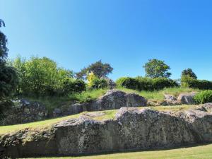 a rock wall in a field with grass and trees at Holiday Home Jolanda - 800m from the sea by Interhome in Gudhjem