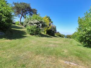 a grassy hill with trees and bushes on it at Holiday Home Jolanda - 800m from the sea by Interhome in Gudhjem