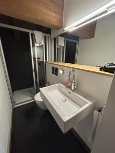 un baño con lavabo e inodoro en Grimpeur 9 ski in-out, Spa Access, en Nendaz 19 fotos más