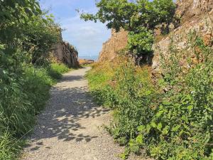 una strada sterrata con piante sul fianco di una montagna di Apartment Ayk - 400m from the sea by Interhome ad Allinge