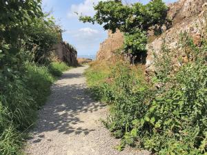 Φυσικό τοπίο κοντά σε αυτή η παραθεριστική κατοικία +28 φωτογραφίες