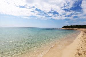 a beach with the ocean and a cloudy sky at A Casa di Teresa in Punta Prosciutto