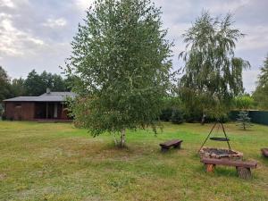 Κήπος έξω από το POLESKI DOMEK Z JACUZZI W Czarnym Lesie +11 φωτογραφίες