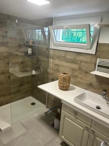 a bathroom with a shower and a sink and a window at Appartement 40 m2 avec parking et petite terrasse in Montfaucon