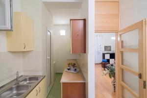 Kuchyňa alebo kuchynka v ubytovaní Apartment J&I