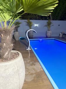 una piscina con una statua accanto a una pianta di Residencial Farol a Pântano Grande