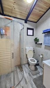 Ένα μπάνιο στο הבקתה של גדי