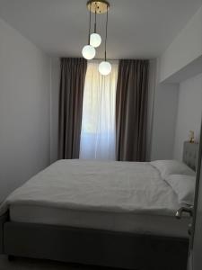 una camera da letto con un letto e una finestra di Vanex a Petricani