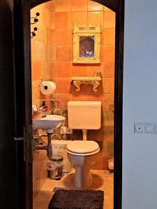 a bathroom with a toilet and a sink at Sleep, fly, bye bye in Sarajevo