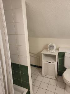 a bathroom with a toilet and green and white tiles at Gîte à Molines en Queyras 8-15 pers in Molines-en-Queyras +28 photos