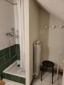 a bathroom with a shower and a bath tub at Gîte à Molines en Queyras 8-15 pers in Molines-en-Queyras