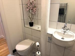 a bathroom with a toilet and a sink at 10 Popeshead in York +14 photos