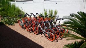 a row of orange bikes parked next to a wall at Casa El Flamenco Zoutmeer Torrevieja 6 of 8 personen in Torrevieja