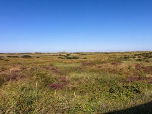 a field of grass with a blue sky in the background at Holiday Home Alim - 300m from the sea by Interhome in Lakolk