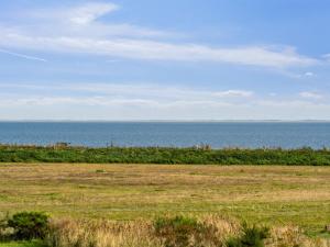 a field of grass with the ocean in the background at Apartment Theis - 100m from the sea by Interhome in Havneby