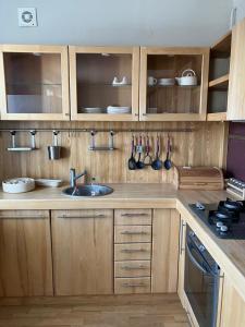 Η κουζίνα ή μικρή κουζίνα στο Apartament Pułaskiego