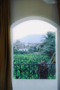 a window with a view of a banana plantation at Paradise House Holiday in Luxor