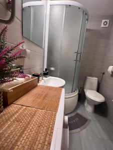 a bathroom with a shower and a toilet and a sink at Mirkovic Lux apartman in Niš +9 photos
