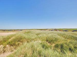 a field of tall grass with cars in the background at Holiday Home Beatrice - 150m from the sea by Interhome in Lemvig
