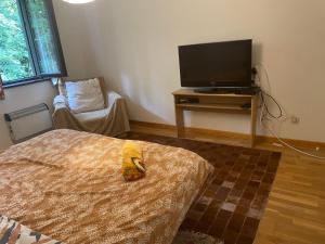 a bedroom with a bed and a tv and a chair at Campe-Good in Kampenhout