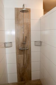 a shower with a shower head in a bathroom at Bed & Fishing House in Slap ob Idrijci +13 photos
