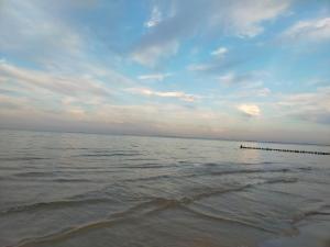 una vista del océano con un muelle a lo lejos en Bungalow _Carpe diem_, en Heringsdorf