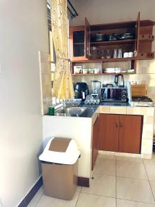 une petite cuisine avec un évier et un comptoir dans l'établissement The Peace Haven, à Kampala