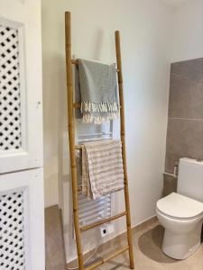 una scaletta portasciugamani in un bagno con WC di Mas au calme près de Pézenas a Saint-Pons-de-Mauchiens
