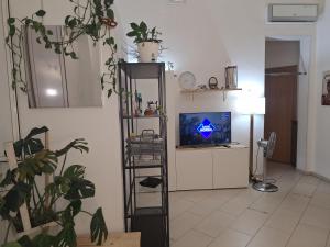 バーリにあるDimora turistica via Tanzi 27 Bariのリビングルーム(テレビ、棚付)