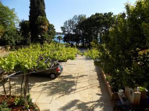 Fotografie z fotogalerie ubytování Apartment Vista Mare v destinaci Karigador