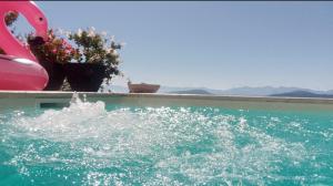 a pool of water with flowers and a water slide at Landhaus Karawankenblick in Himmelberg +39 photos