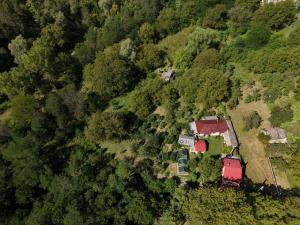 Naturlandskabet i nærheden af feriehuset